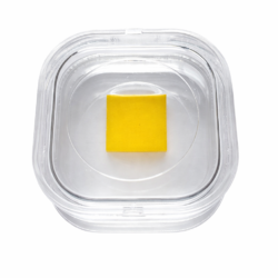 Cadmium Sulfide (CdS) Single Crystal Substrate