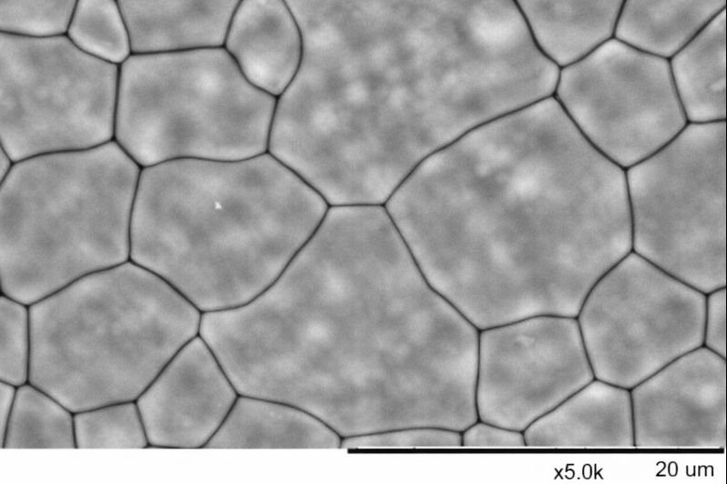 Electrolyte Substrate
