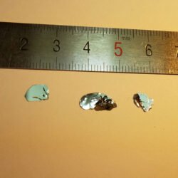 Bi2Se3 Crystals