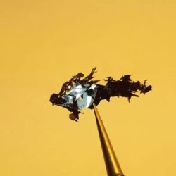 CrI3 Crystals