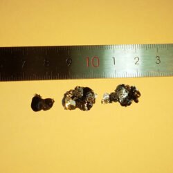 FePSe3 Crystals