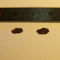 HfSe2 Crystals
