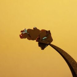 MnPSe3 Crystals