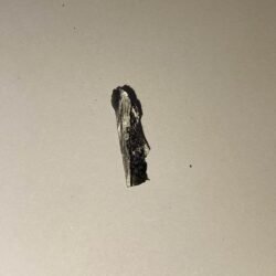 MnSb2Te4 Crystals