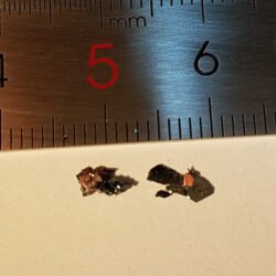Nb-Doped WSe2 Crystals