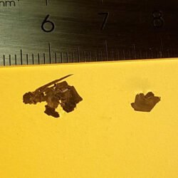 Ni2SiTe4 Crystals