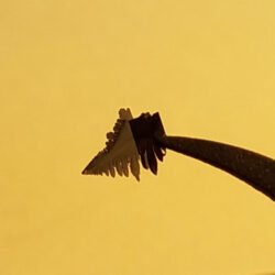 PbSnS2 Crystals