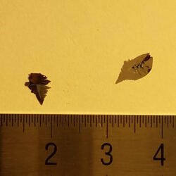 PbSnS2 Crystals – view 2