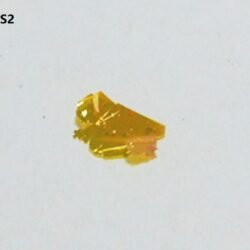 SnS2 Crystals