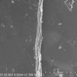 SnSe2 Crystals – view 2