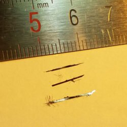 Ta2NiSe5 Crystals – view 2