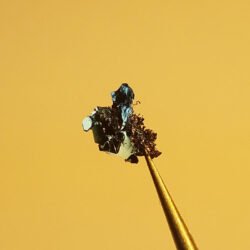 TaS2 (1T Phase) Crystals