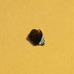 TaSe2 Crystals
