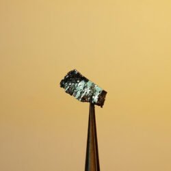 WTe2 Crystals