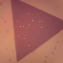 Bismuth Selenide (Bi2Se3) – view 2