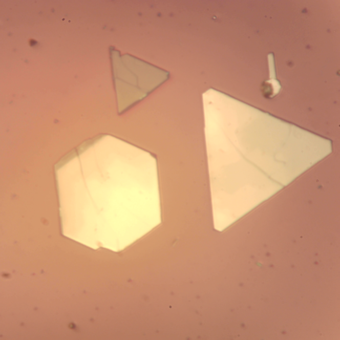 Bismuth Selenide (Bi2Se3) – view 3