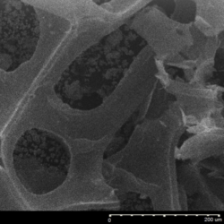 Graphene on Nickel Foam (Three-Dimensional CVD Graphene) (5 cm x 10 cm)