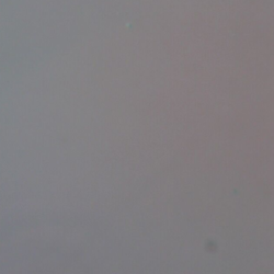 Graphene Grown on Cu Foils (5 cm x 10 cm) – view 2