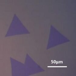 2D-CVD-MoS2-1-1_02 Molybdenum Disulfide (MoS2) – view 2