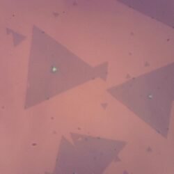 Molybdenum Diselenide (MoSe2)