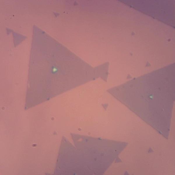 Molybdenum Diselenide (MoSe2)