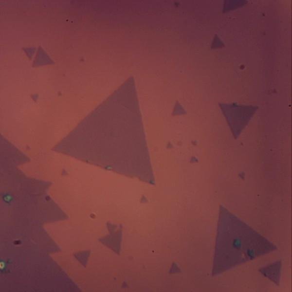 Molybdenum Diselenide (MoSe2) – view 2