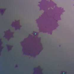 Molybdenum Diselenide (MoSe2) on 2-Inch Sapphire Wafer