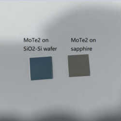 Molybdenum Ditelluride (MoTe2)