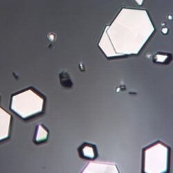 Nickel Ditelluride (NiTe2) – view 2