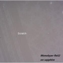 Rhenium Disulfide (ReS2)