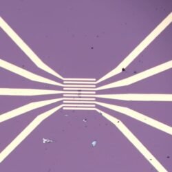 Monolayer 2H-MoTe2 FET Device