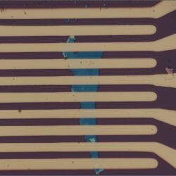 Mechanically Exfoliated Black Phosphorus FET Device – view 2