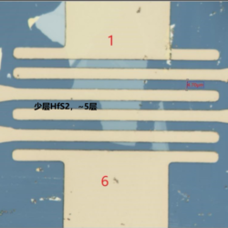 Mechanically Exfoliated HfS2 FET Device – view 2