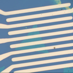 MoS2 FET Device