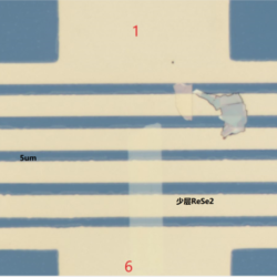 Mechanically Exfoliated ReSe2 FET Device