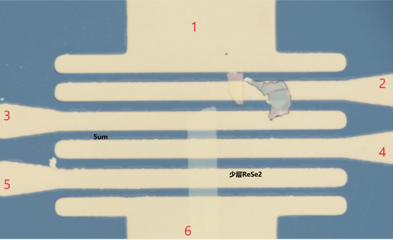 Mechanically Exfoliated ReSe2 FET Device