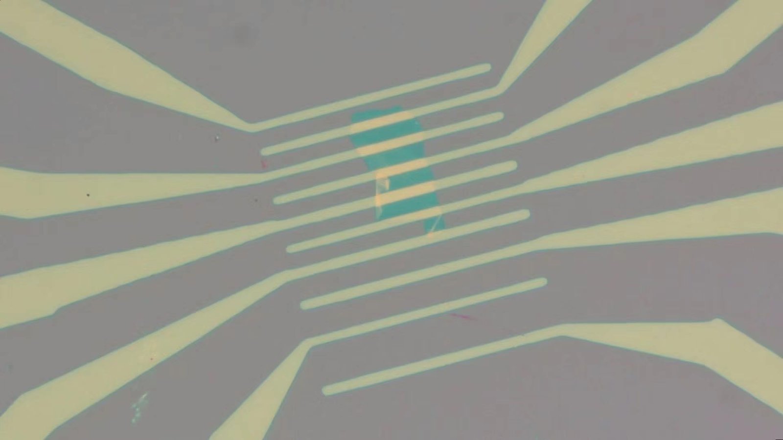 WS2 FET Device