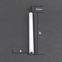 Pt Disc Electrode