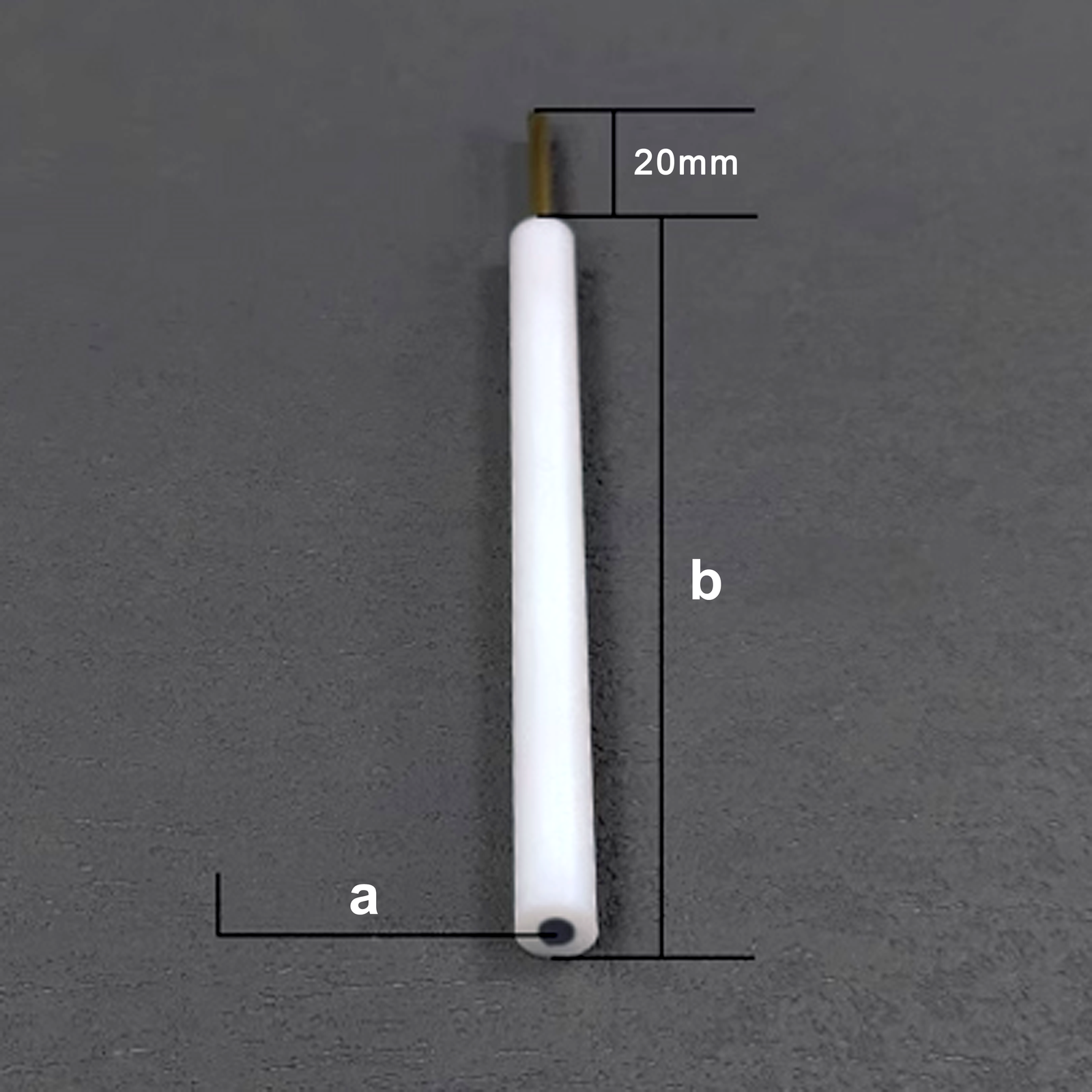 Pt Disc Electrode